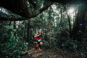 BIB: 
                            <button type="button" onclick="openModal(25390322)" class="btn btn-primary btn-sm float-right btn-popup" data-toggle="modal" data-target=".modal-high-quality">
                        <i class="fas fa-shopping-cart"></i> Add to Cart
                    </button>
                                            <button type="button" onclick="isThisMe(25390322, true)" class="btn btn-success btn-sm float-right btn-popup btn-isme hidden" data-toggle="tooltip" data-placement="bottom" title="นี่คือรูปของคุณใช่ไหม คลิกที่นี่เพื่อเอาเข้าอัลบั้ม">
                        <i class="fas fa-plus"></i> Add to album
                    </button>
                    <button type="button" onclick="isThisMe(25390322, false)" class="btn btn-warning btn-sm float-right btn-popup btn-isnotme hidden">
                        <i class="fas fa-ban"></i> Remove from album
                    </button>